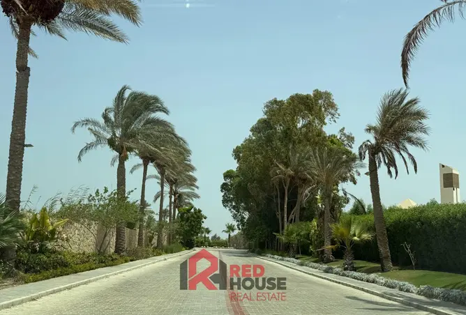 84788203 - صورة العقار 3