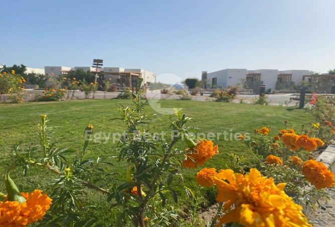 66435170 - Property Image 2