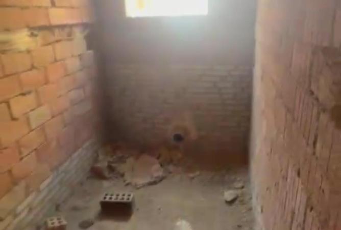 55260201 - صورة العقار 3