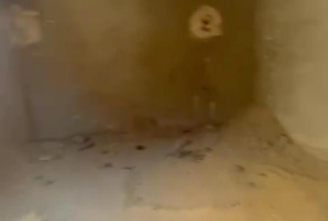 55260201 - صورة العقار 2