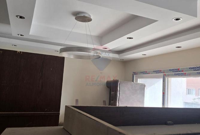 8667878 - Property Image 3