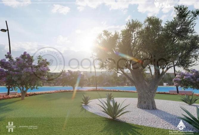 63134626 - صورة العقار 3