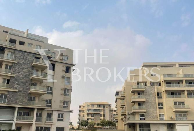 53725817 - Property Image 3