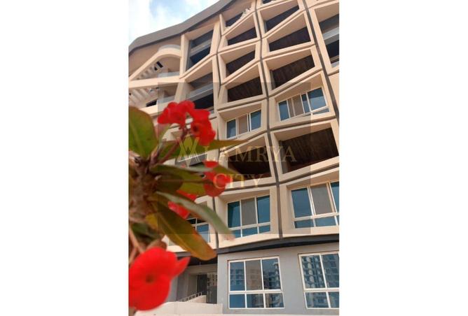 54237976 - صورة العقار 2