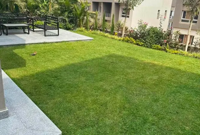 113250475 - صورة العقار 3