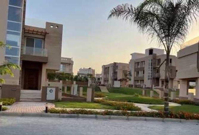 54503748 - Property Image 3