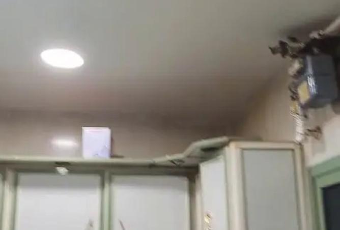 97151316 - Property Image 2