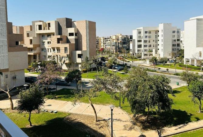 66169937 - الصورة الرئيسية للعقار