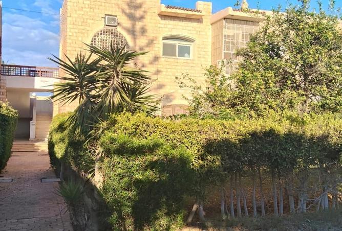 64383581 - صورة العقار 3