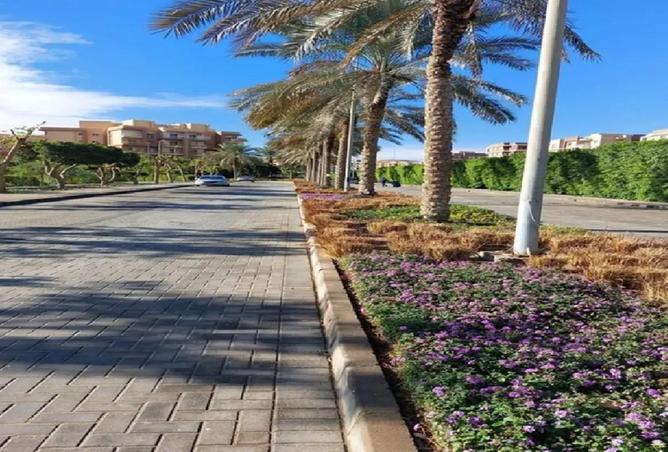 62404107 - صورة العقار 2