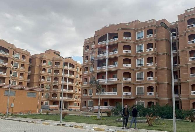 54745530 - صورة العقار 3