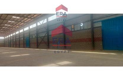 Warehouse - Studio - 3 Bathrooms for rent in Abou Rawash - Cairo