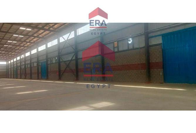 55009140 - صورة العقار 2