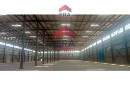 Warehouse - Studio - 3 Bathrooms for rent in Abou Rawash - Cairo