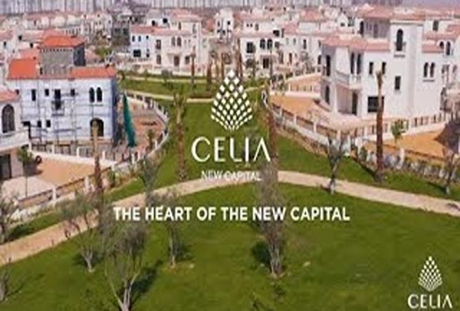 8513295 - Property Image 3