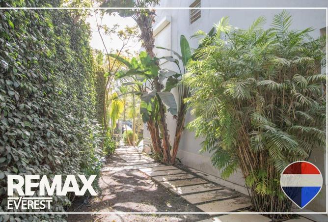 8721668 - صورة العقار 3