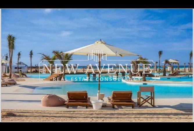 67995083 - Property Image 3