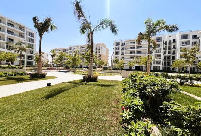 55255677 - Property Image 2