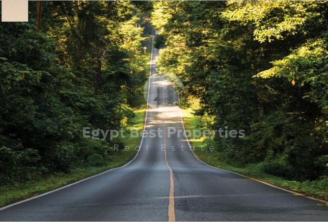 8623533 - Property Image 3