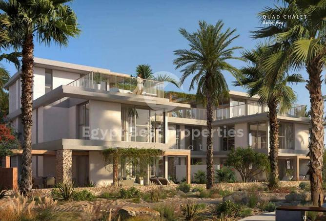 8633534 - Property Image 3