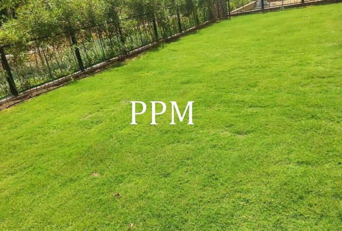 66175364 - صورة العقار 2