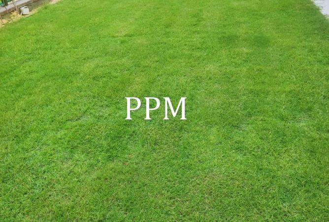 66175364 - صورة العقار 3