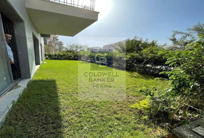 66682781 - صورة العقار 3