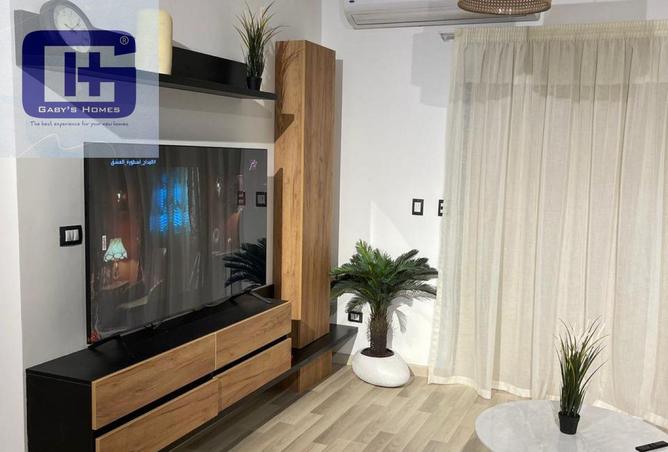 65909472 - Property Image 3