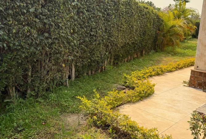 66959074 - صورة العقار 2