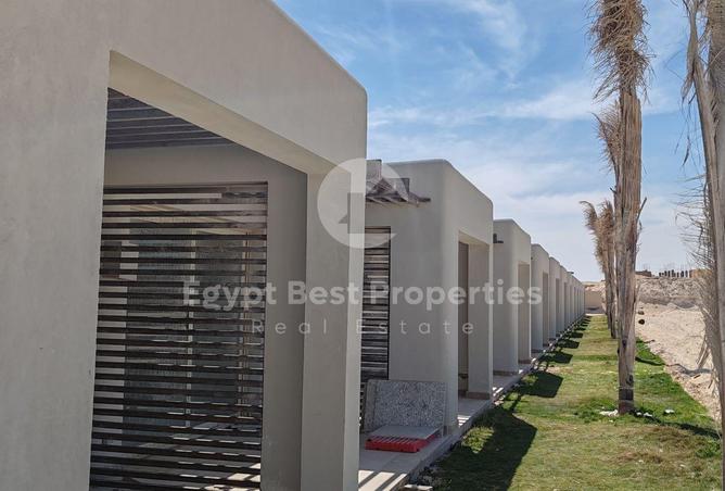 87207807 - صورة العقار 3