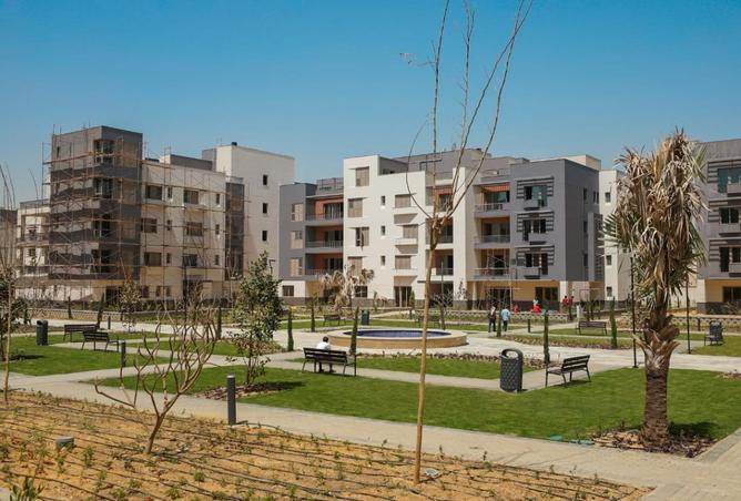 74048147 - Property Image 3