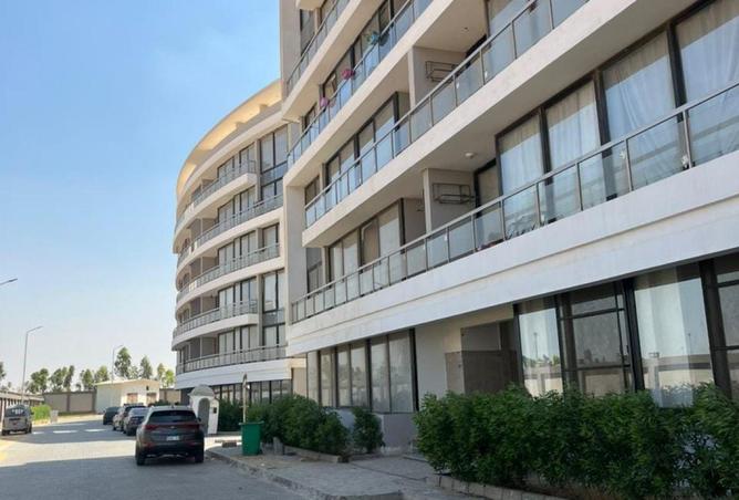 61194905 - صورة العقار 2