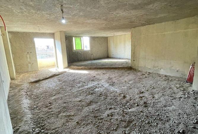 52446832 - Property Image 3