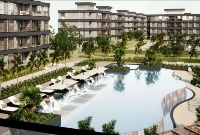 116491726 - Property Image 3