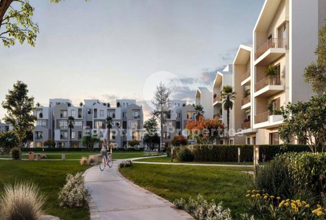 8640029 - Property Image 2