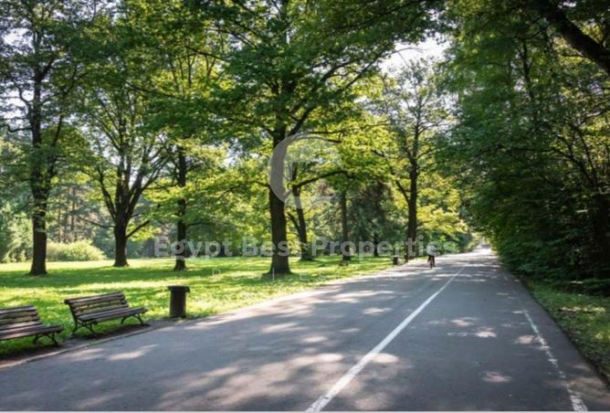 8640029 - Property Image 3