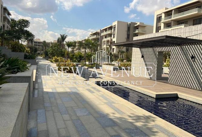 56250516 - Property Image 2