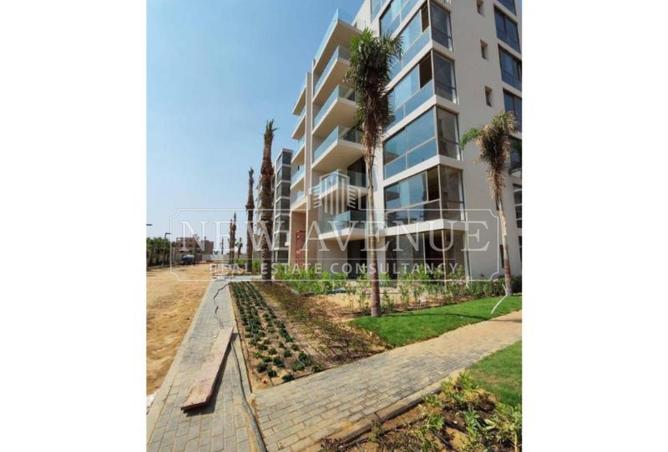 103468397 - Property Image 2