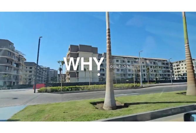 64381079 - Property Image 3