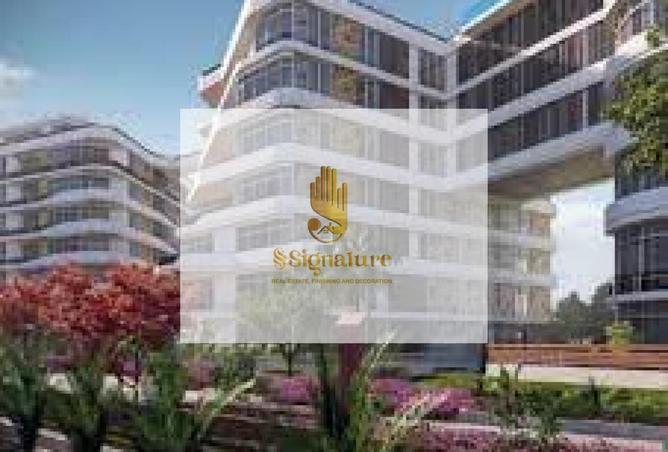 56002973 - Property Image 2