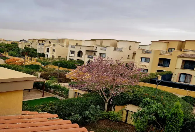 61440025 - صورة العقار 2