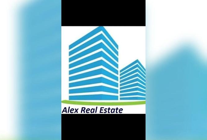 8593247 - صورة العقار 2