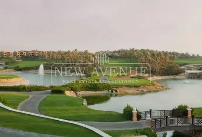 120352609 - Property Image 3