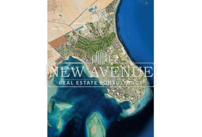 64639591 - Property Image 3