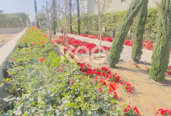 107975529 - صورة العقار 3