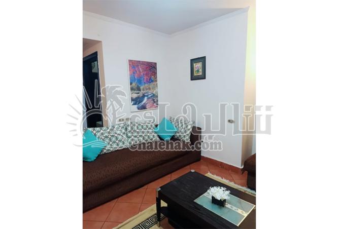 8427404 - Property Image 2