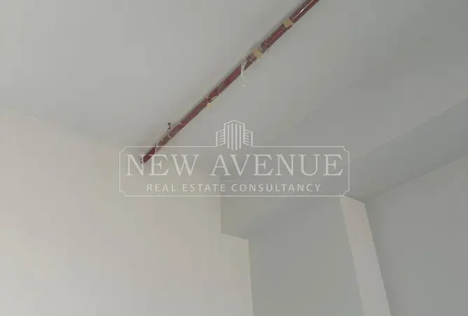 113528574 - Property Image 3