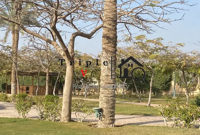 119062139 - صورة العقار 3