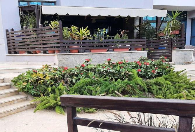 8554116 - صورة العقار 2