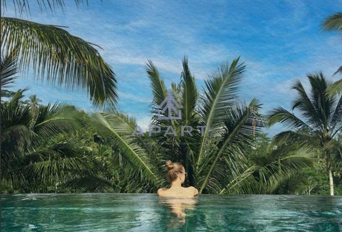 68798592 - Property Image 3